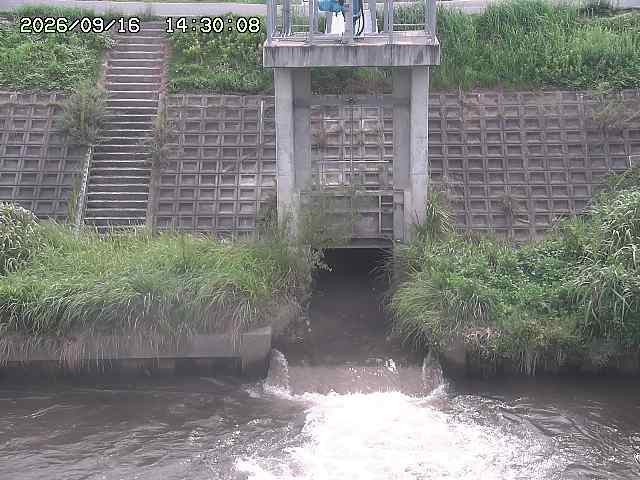 大路川２2026/09/16 16:30
