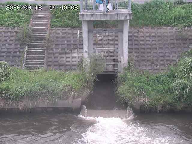 大路川２2026/09/16 16:30