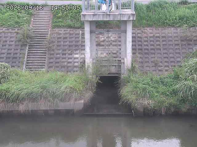 大路川２2026/09/16 16:30