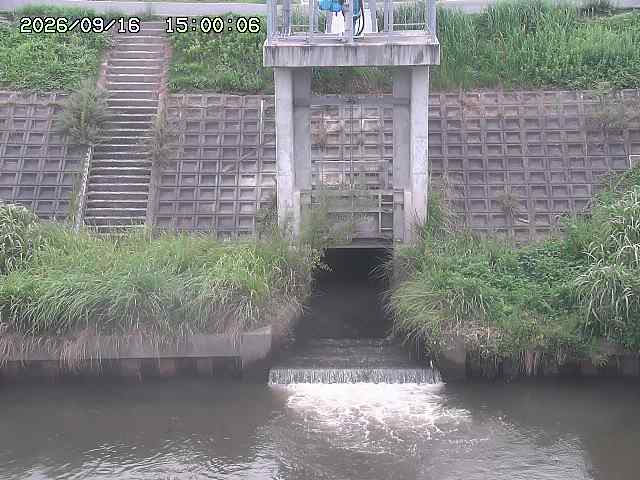 大路川２2026/09/16 16:30