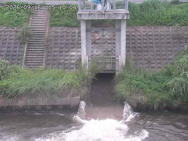 大路川２2026/09/16 16:30