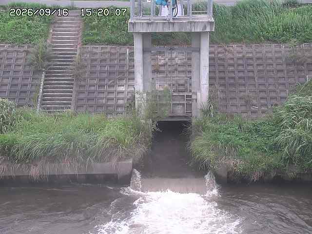 大路川２2026/09/16 16:30