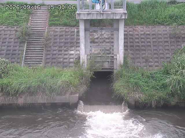 大路川２2026/09/16 16:30