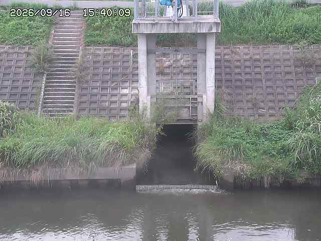 大路川２2026/09/16 16:30