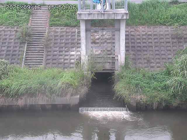 大路川２2026/09/16 16:30
