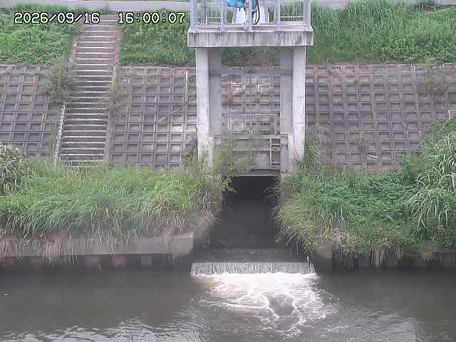 大路川２2026/09/16 16:30