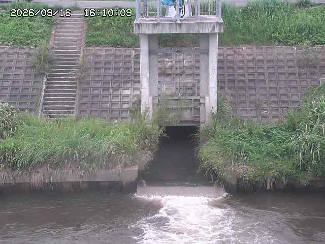 大路川２2026/09/16 16:30