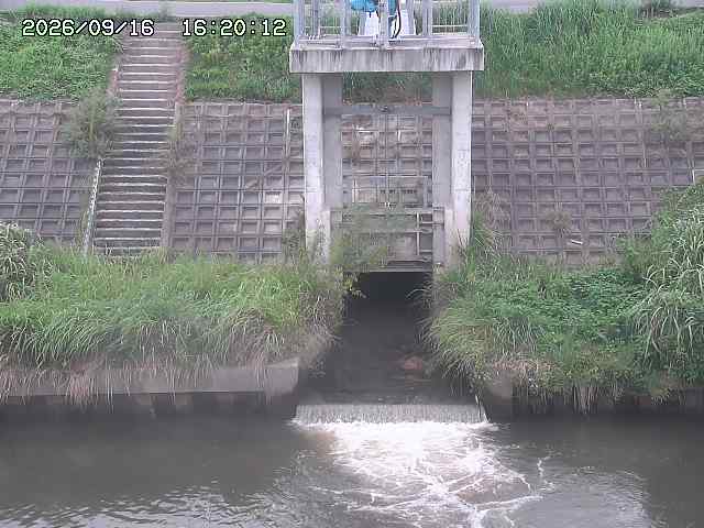 大路川２2026/09/16 16:30