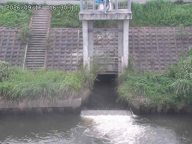 大路川２2026/09/16 16:30