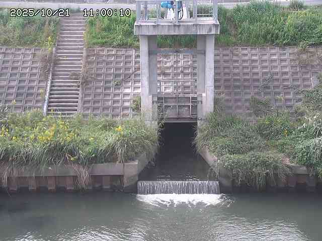 大路川２2025/10/22 11:10