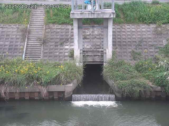 大路川２2025/10/22 11:10