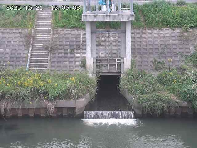 大路川２2025/10/22 11:10