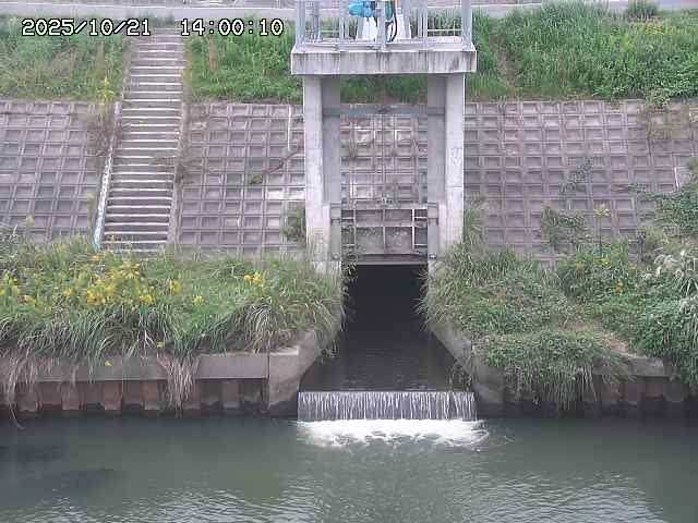 大路川２2025/10/22 11:10