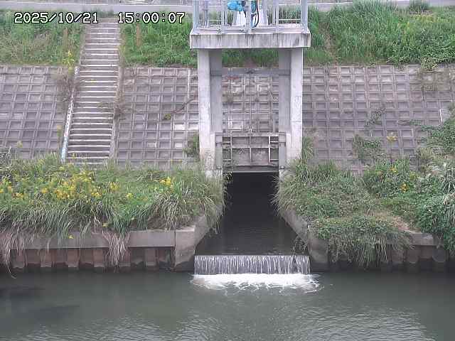 大路川２2025/10/22 11:10