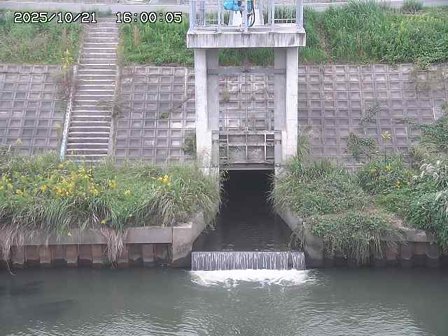 大路川２2025/10/22 11:10