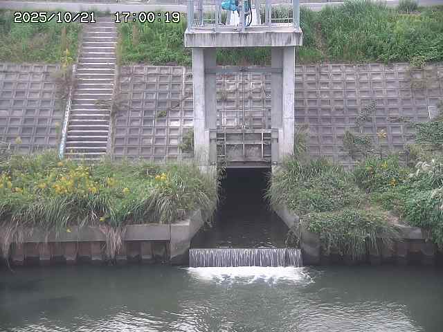 大路川２2025/10/22 11:10
