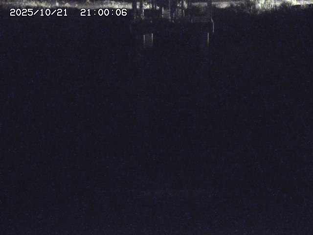 大路川２2025/10/22 11:10
