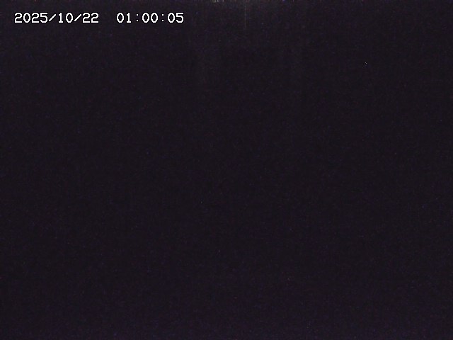 大路川２2025/10/22 11:10