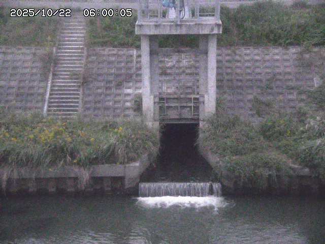 大路川２2025/10/22 11:10