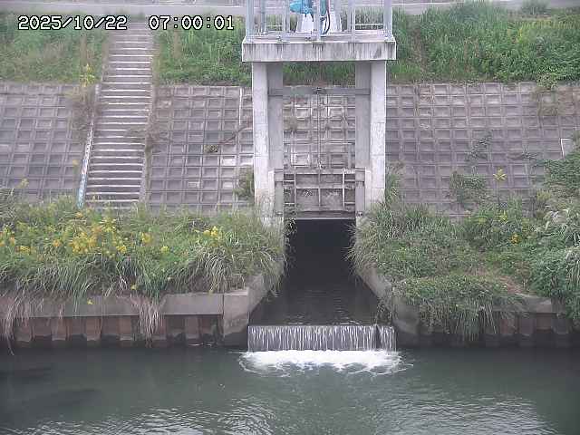 大路川２2025/10/22 11:10