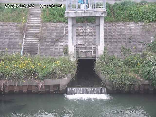大路川２2025/10/22 11:10