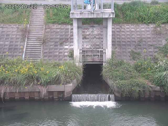 大路川２2025/10/22 11:10