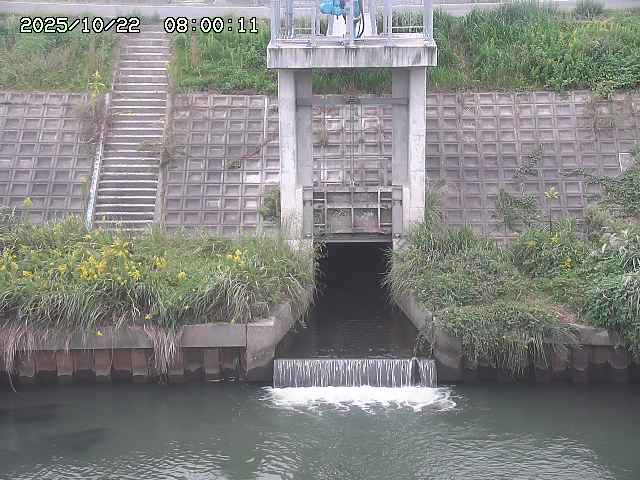 大路川２2025/10/22 11:10