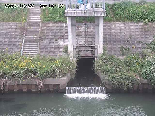 大路川２2025/10/22 11:10