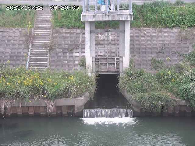 大路川２2025/10/22 11:10