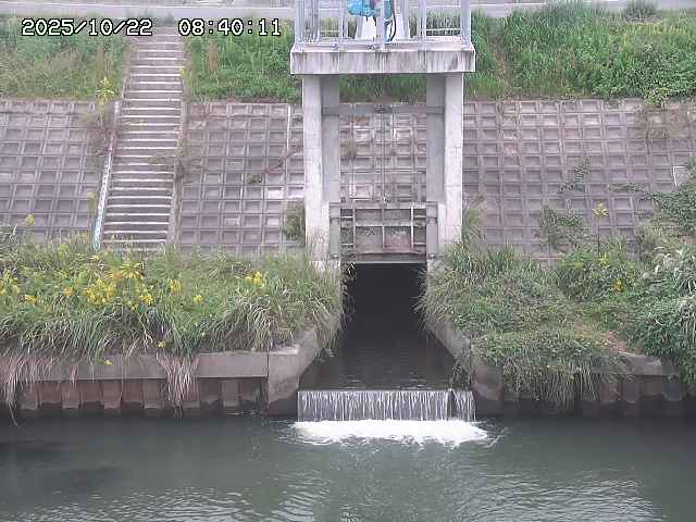 大路川２2025/10/22 11:10