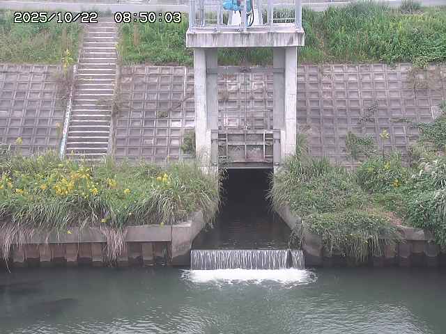 大路川２2025/10/22 11:10