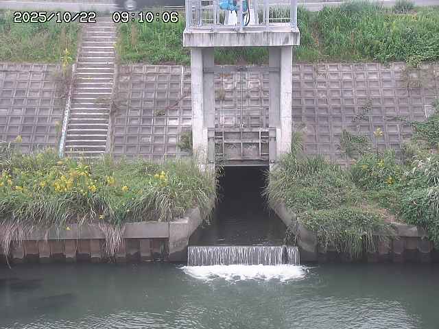 大路川２2025/10/22 11:10