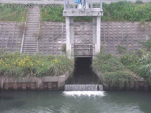 大路川２2025/10/22 11:10