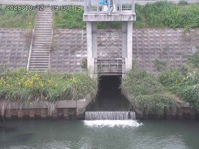 大路川２2025/10/22 11:10