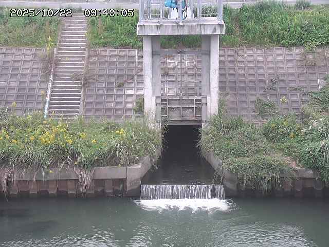 大路川２2025/10/22 11:10