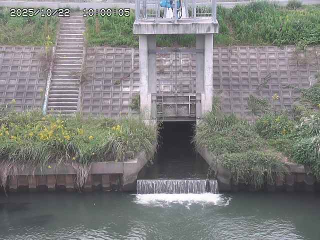 大路川２2025/10/22 11:10