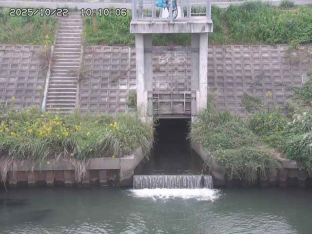大路川２2025/10/22 11:10