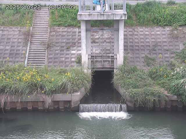 大路川２2025/10/22 11:10