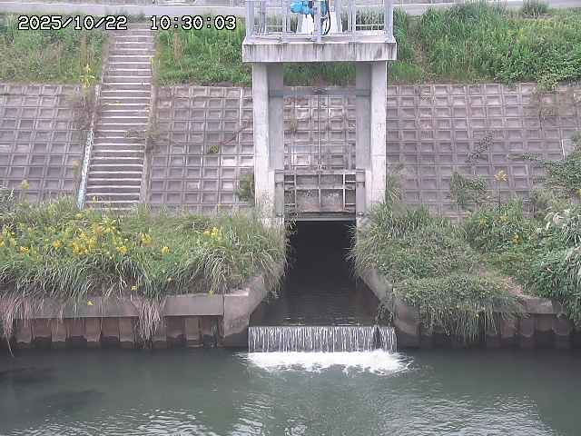 大路川２2025/10/22 11:10