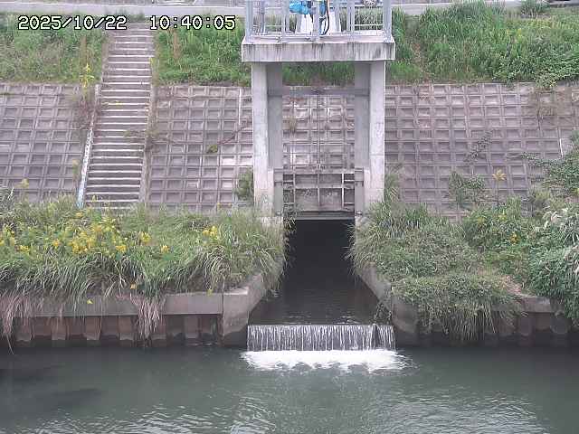 大路川２2025/10/22 11:10