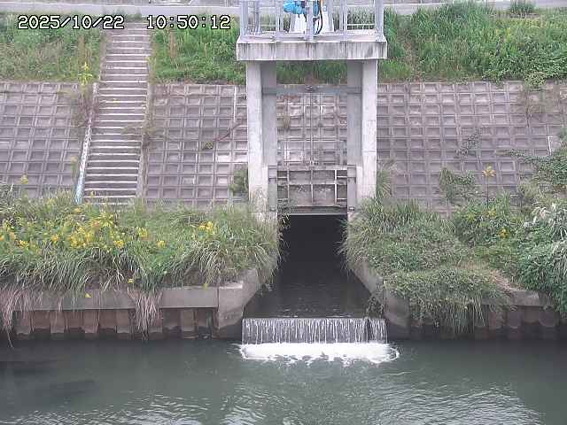 大路川２2025/10/22 11:10