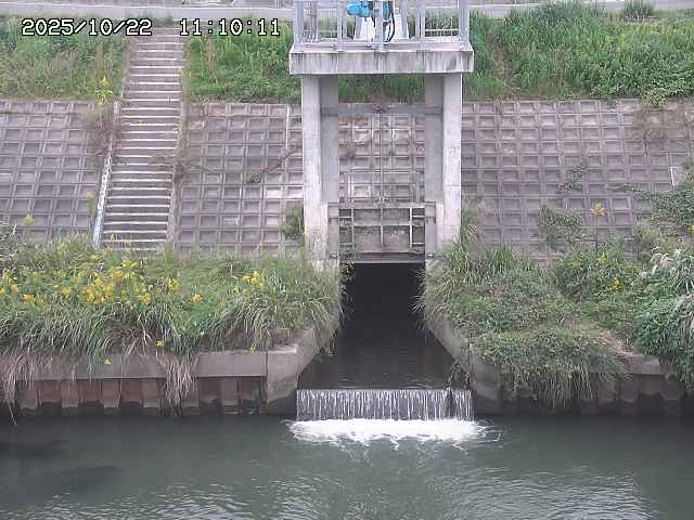 大路川２2025/10/22 11:10