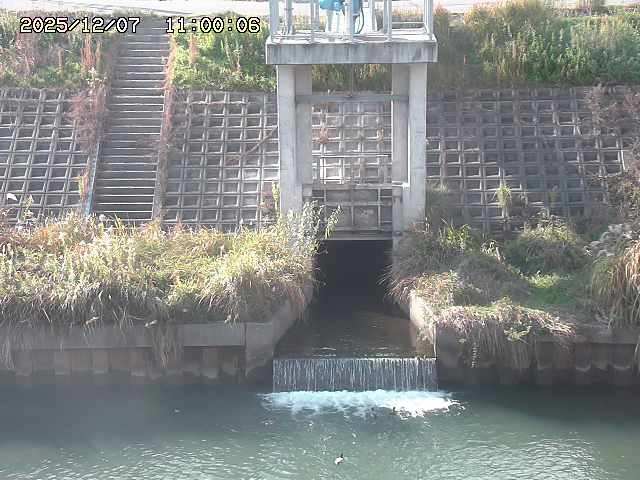 大路川２2025/12/08 11:20