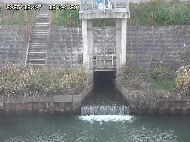 大路川２2025/12/08 11:20