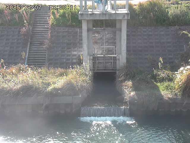 大路川２2025/12/08 11:20