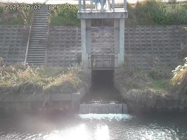 大路川２2025/12/08 11:20