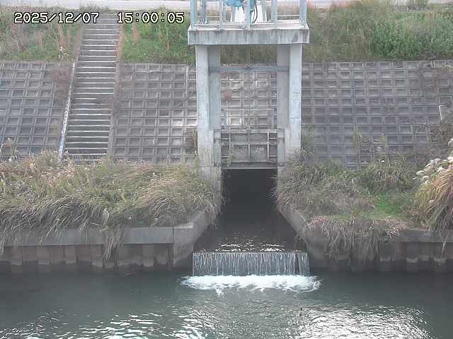 大路川２2025/12/08 11:20