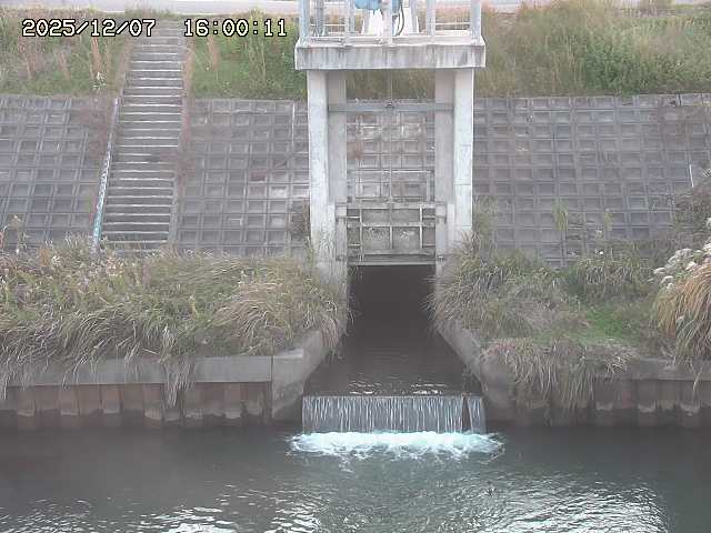 大路川２2025/12/08 11:20