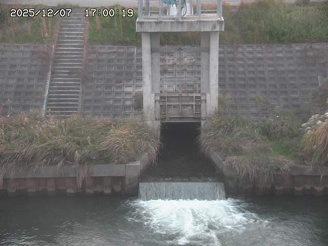 大路川２2025/12/08 11:20