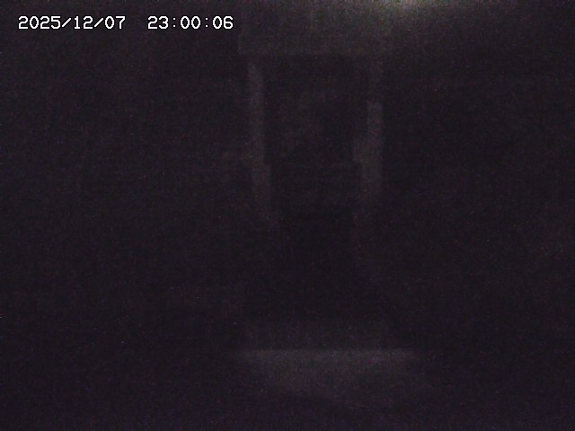 大路川２2025/12/08 11:20